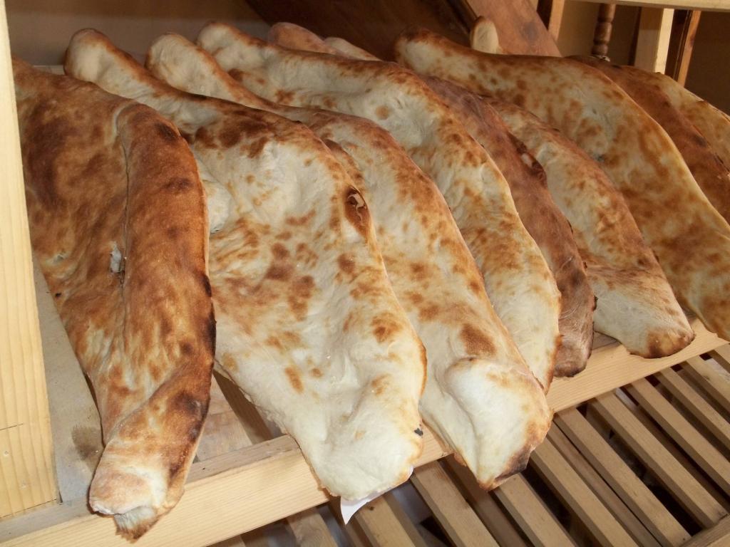 как выглядит шоти